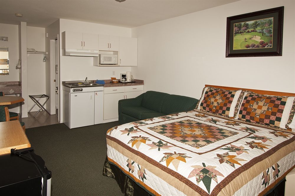 Motel Cactus Tree